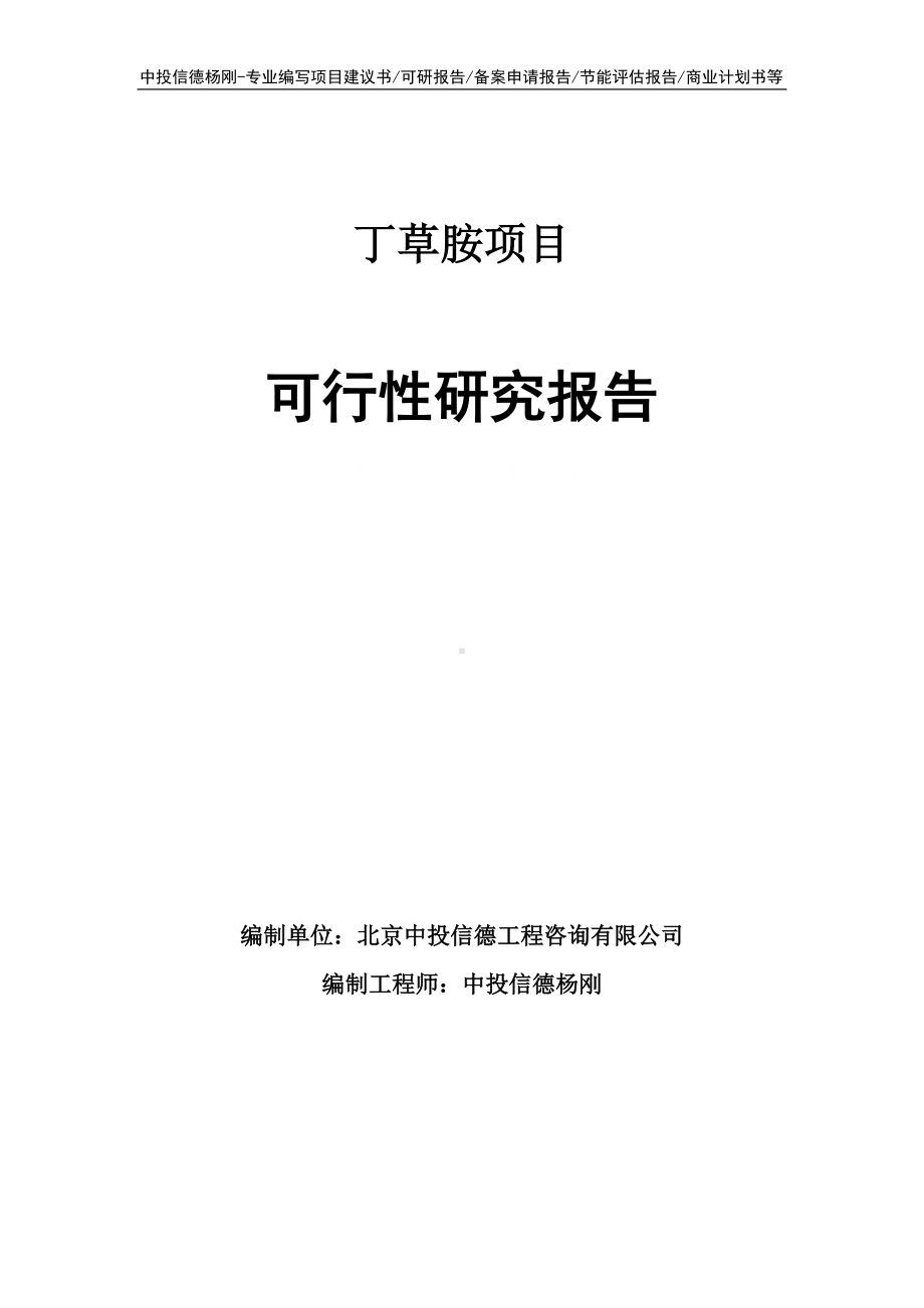 丁草胺项目可行性研究报告申请立项.doc_第1页