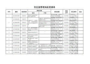 市应急管理局权责清单参考模板范本.xls