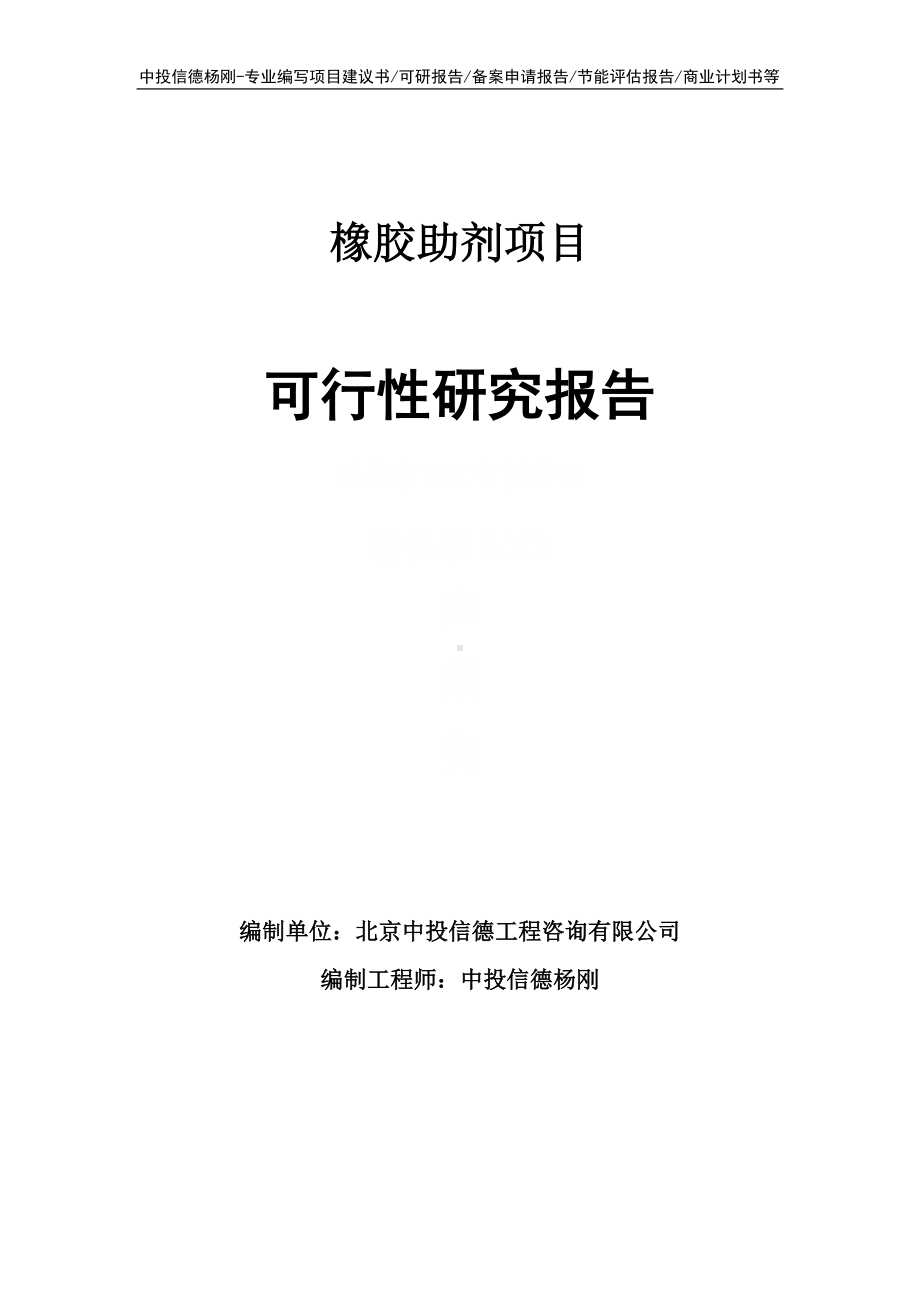 橡胶助剂项目可行性研究报告案例.doc_第1页