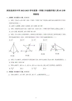 江苏省宿迁市沭阳县沭河初级中学2022-2023学年上学期八年级数学第八周45分钟周测卷.docx