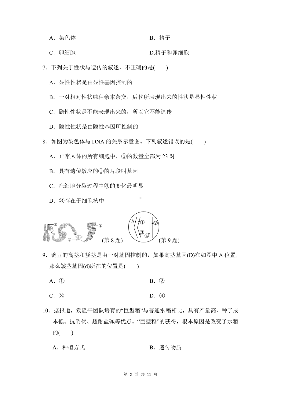 人教版八年级下册生物第七单元第二章　生物的遗传与变异 测试卷（Word版含答案）.docx_第2页