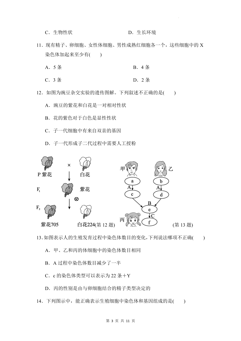 人教版八年级下册生物第七单元第二章　生物的遗传与变异 测试卷（Word版含答案）.docx_第3页