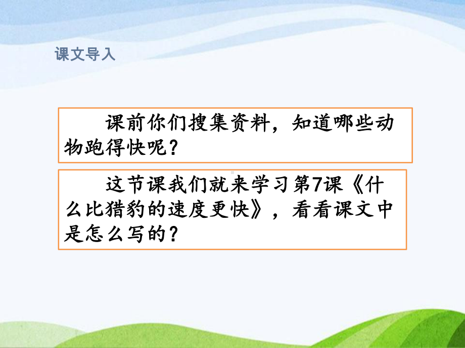 2023部编版语文五年级上册《7什么比猎豹的速度更快课时课件.pptx_第2页