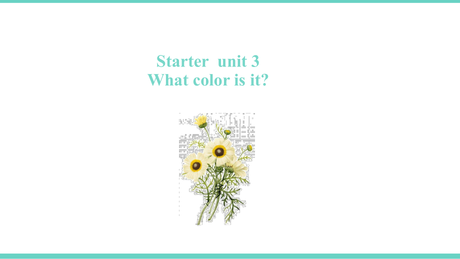 Starter unit3 What's this in English（ppt课件）-2022新人教新目标版七年级上册《英语》.pptx_第1页