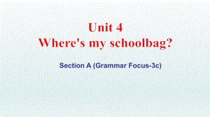 Unit 4 Grammar Focus-3c（ppt课件）-2022新人教新目标版七年级上册《英语》.pptx