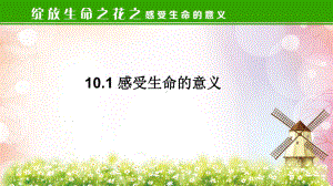 道德与法治七年级上册 10-1感受生命的意义-课件.pptx