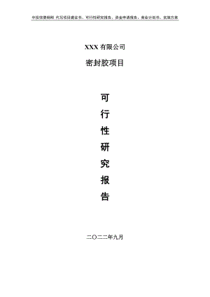 密封胶项目可行性研究报告申请报告案例.doc