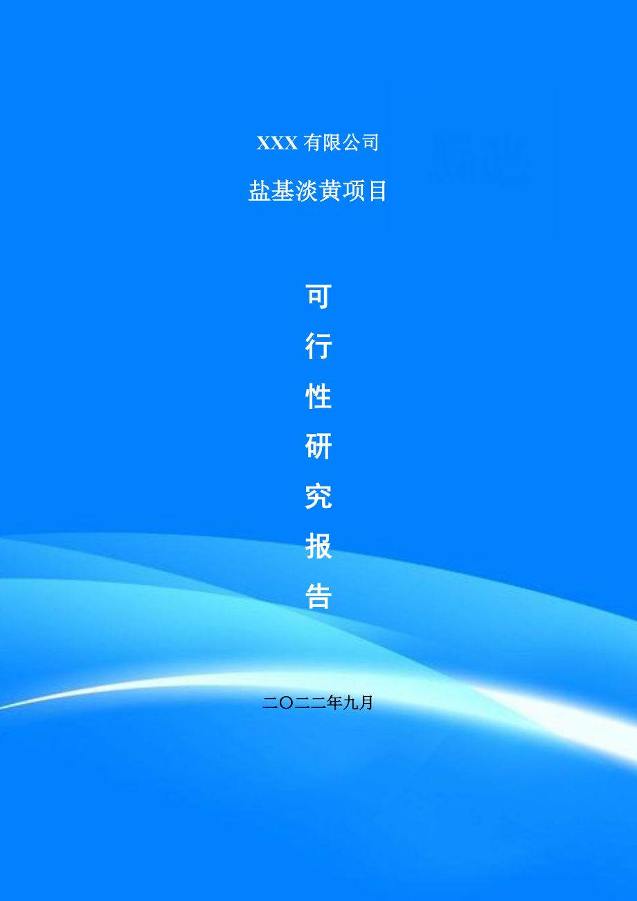 盐基淡黄生产项目可行性研究报告建议书.doc_第1页