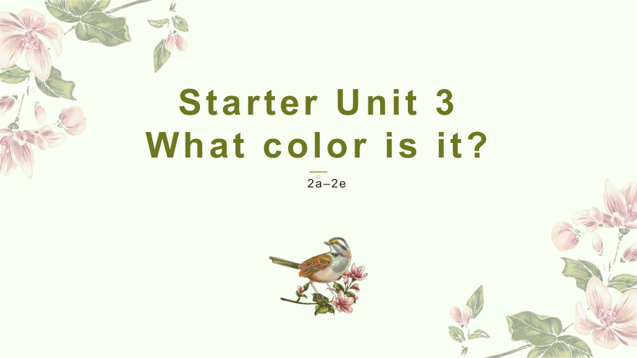 Starter Unit 3 What color is it 2a-2e（ppt课件） -2022新人教新目标版七年级上册《英语》.pptx_第1页