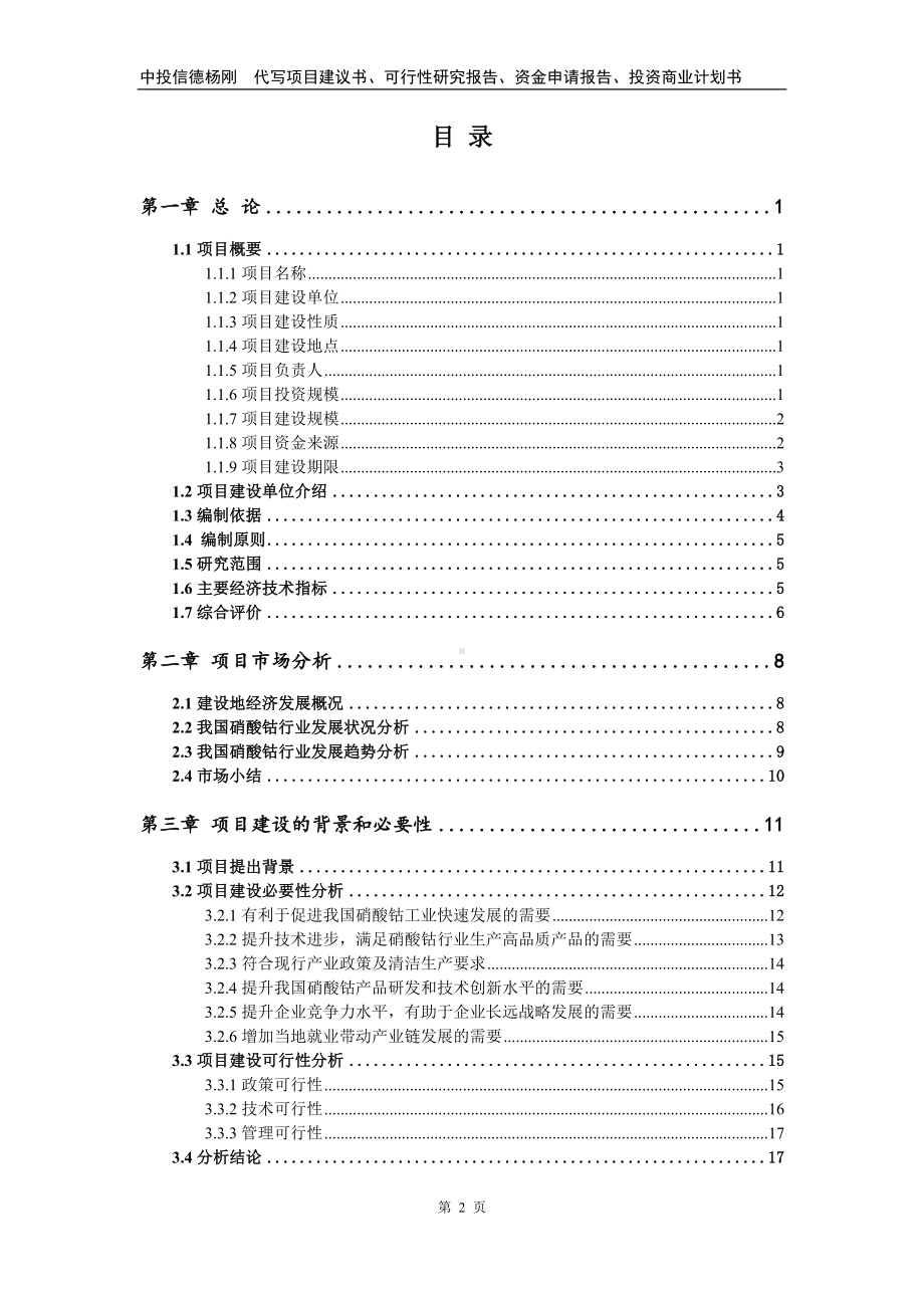 硝酸钴生产项目可行性研究报告建议书.doc_第2页