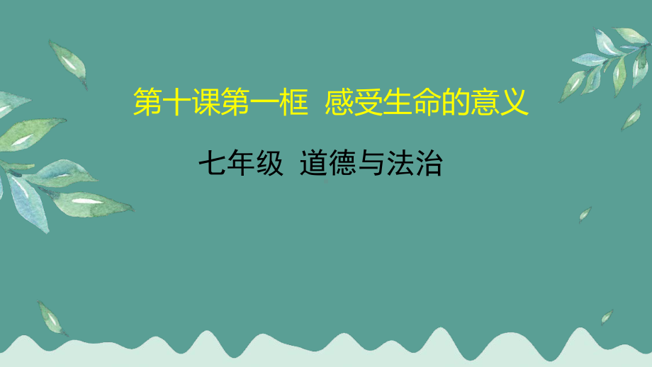 道德与法治七年级上册 10-1感受生命的意义-课件(1).pptx_第2页