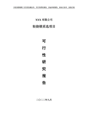 轻烧镁采选生产项目申请报告可行性研究报告.doc