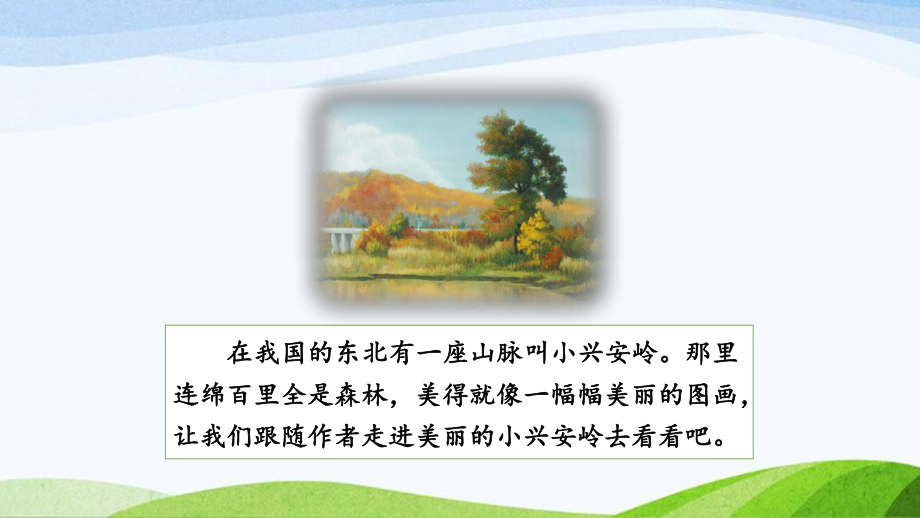 2023部编版语文三年级上20美丽的小兴安岭》课时课件 - 副本.pptx_第3页