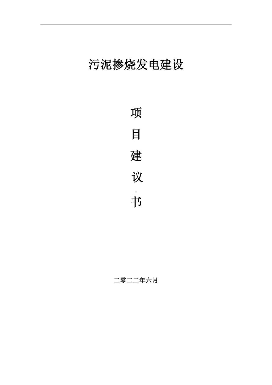 污泥掺烧发电项目建议书（写作模板）.doc_第1页