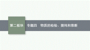 2023中考化学（人教版）总复习 专题4　物质的检验、提纯和推断.pptx