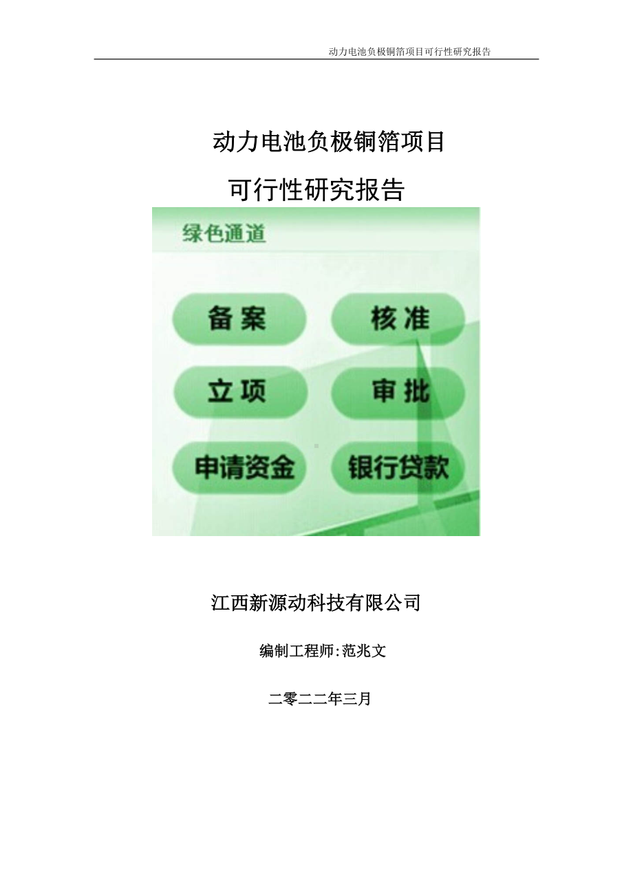 动力电池负极铜箔项目可行性研究报告-申请建议书用可修改样本.doc_第1页