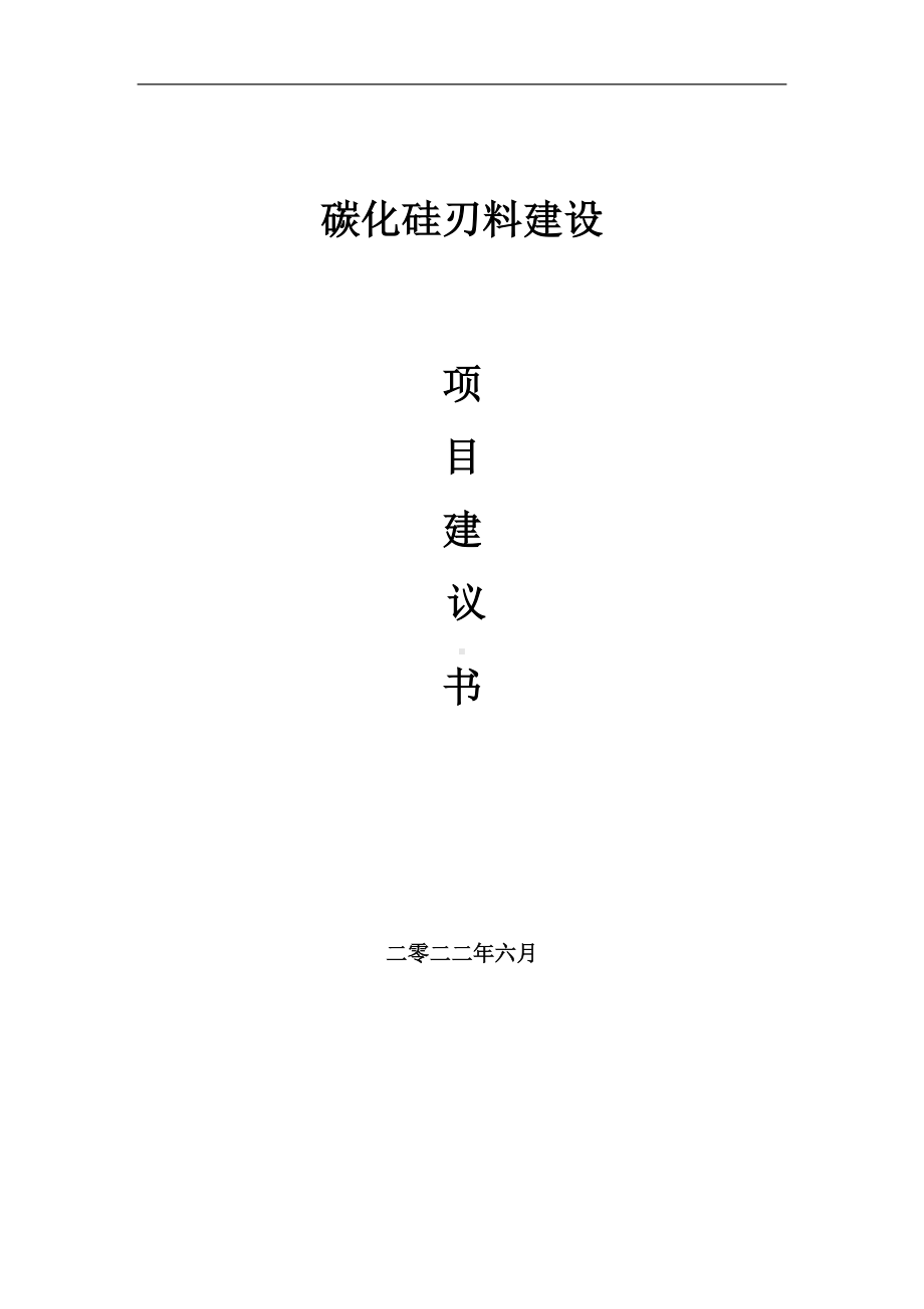 碳化硅刃料项目建议书（写作模板）.doc_第1页