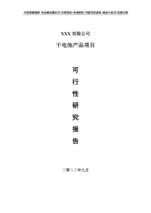 干电池产品项目可行性研究报告申请立项.doc