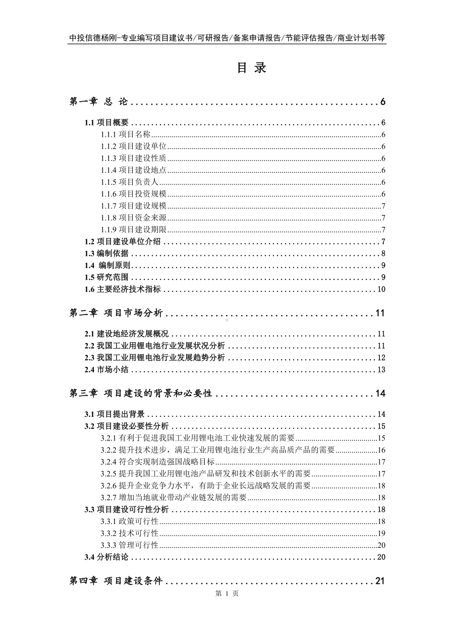 工业用锂电池项目可行性研究报告申请书.doc_第2页