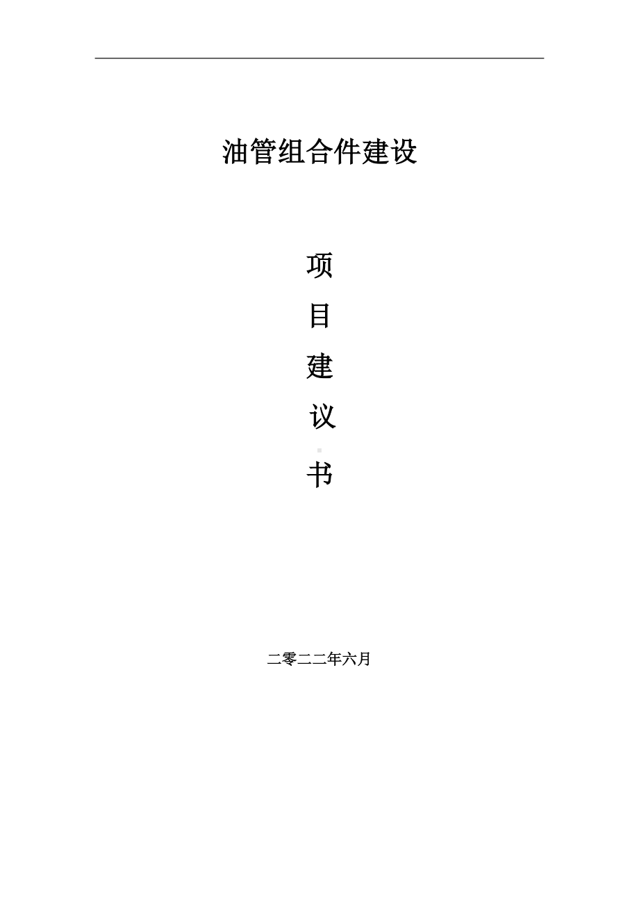 油管组合件项目建议书（写作模板）.doc_第1页