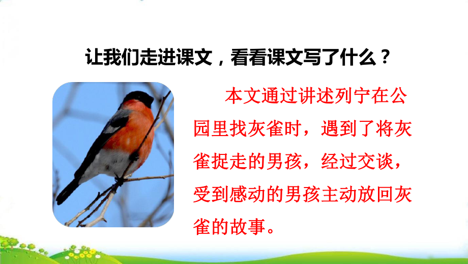 人教部编版灰雀课件.ppt_第3页