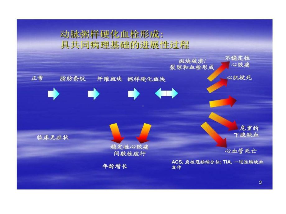 下肢动脉硬化闭塞症诊断治疗及预防共67页共67张课件.ppt_第3页