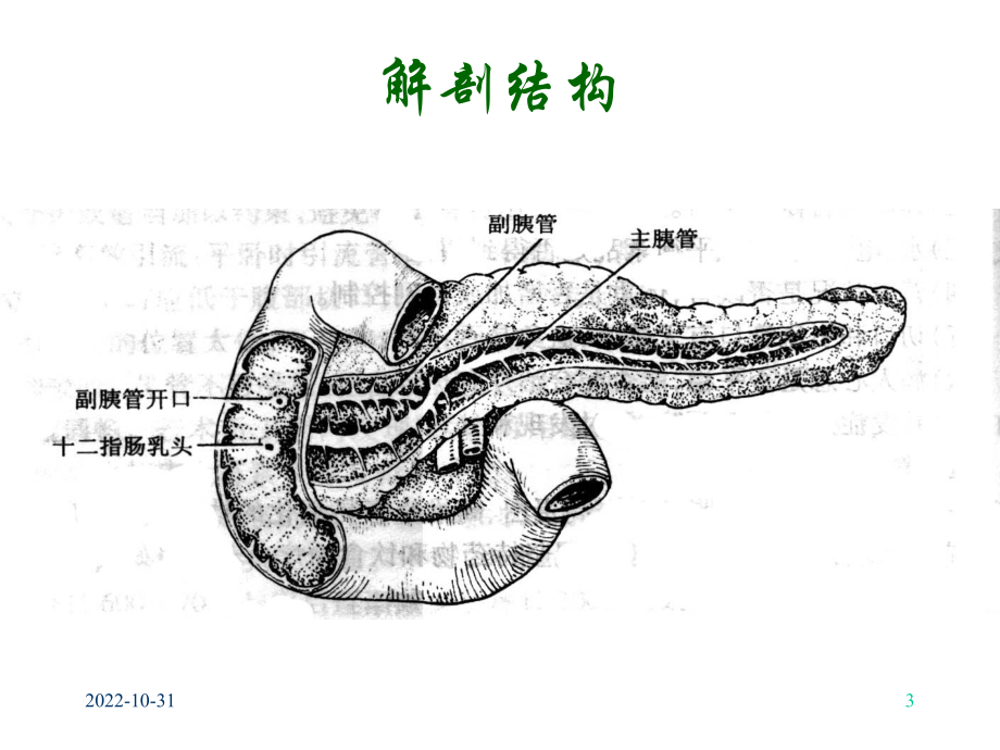 二十七胰腺疾病病人的护理课件.ppt_第3页