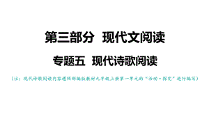 专题五现代诗歌阅读2021年中考语文系统复习课件.pptx