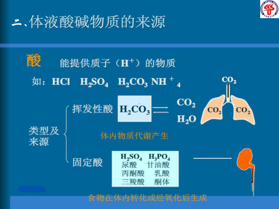 《病理生理学第四章》课件94页.ppt_第3页