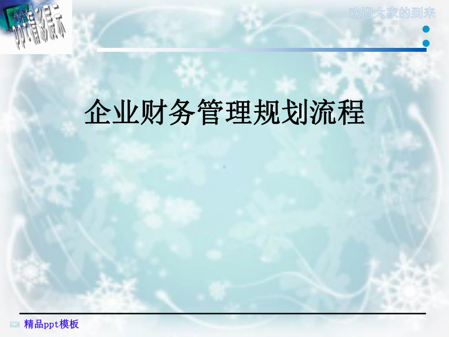 企业财务管理规划流程课件.ppt_第1页