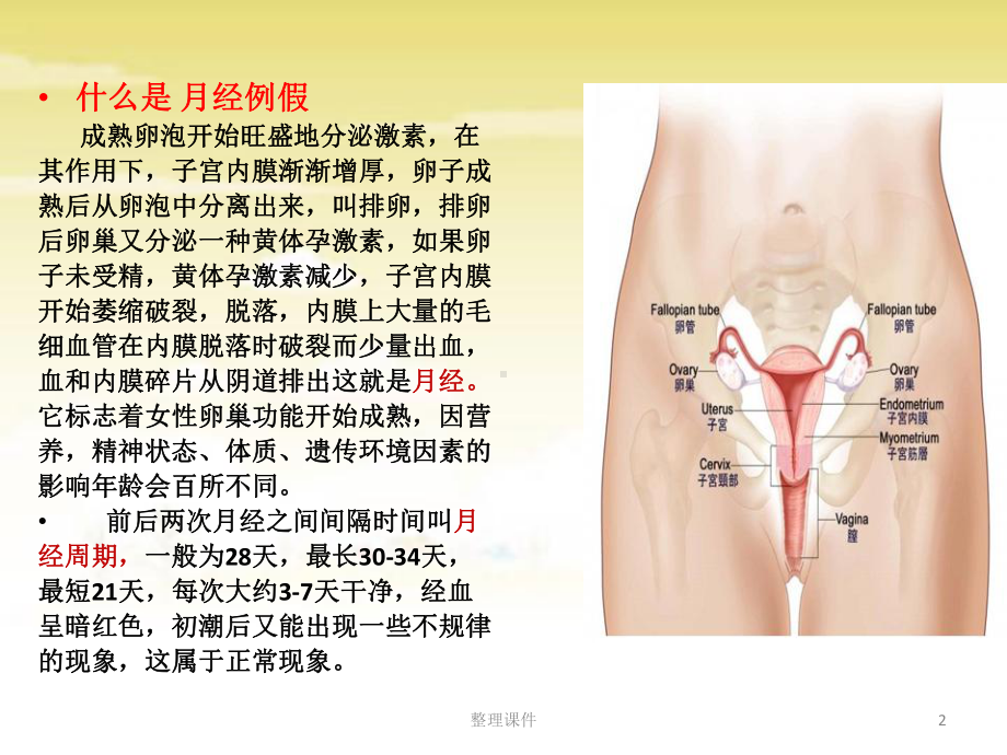 中学生生理期课件.pptx_第2页