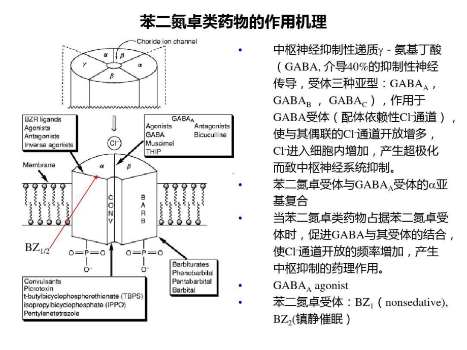 作用神经系统的药物共48张课件.ppt_第3页