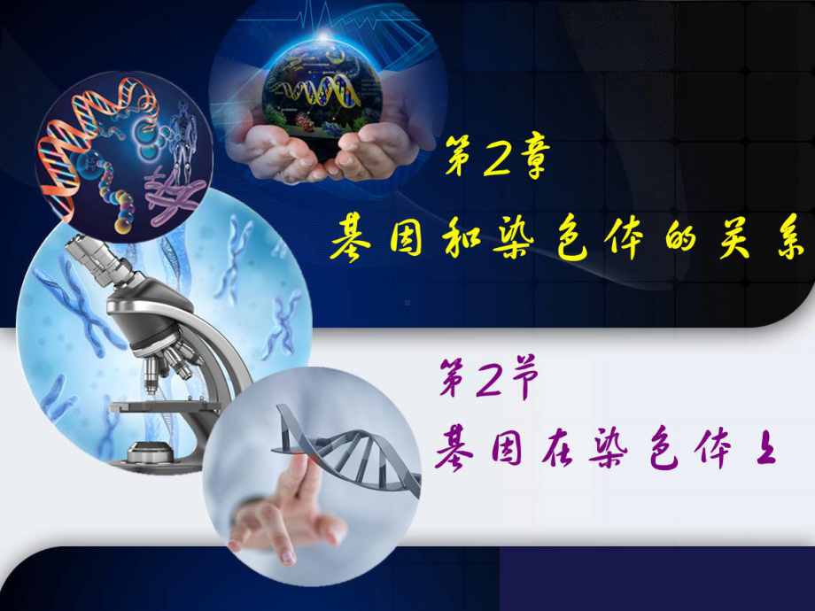 人教版生物新教材《基因在染色体上》1课件.ppt_第1页