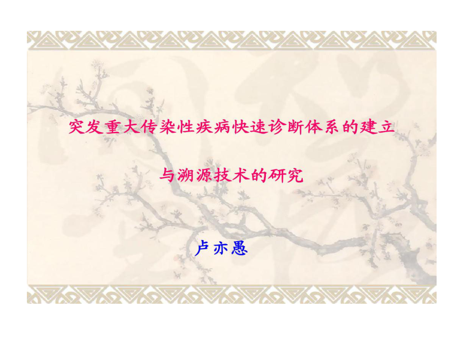 传染性疾病快速诊断与溯源技术及检测体系建立研究52张课件.ppt_第2页