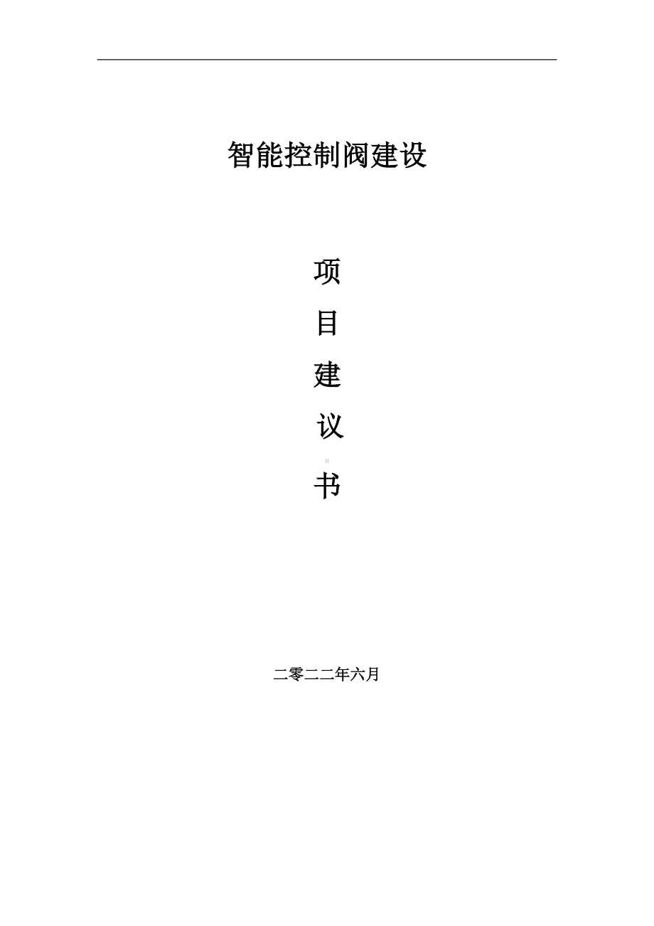 智能控制阀项目建议书（写作模板）.doc_第1页