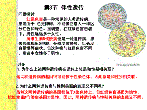 人教版《伴性遗传》课件1.pptx