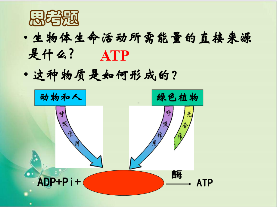 人教版生物必修一ATP的主要来源—细胞呼吸课件.ppt_第1页