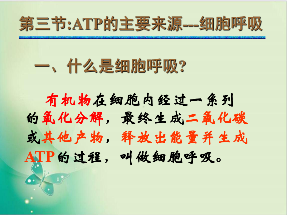 人教版生物必修一ATP的主要来源—细胞呼吸课件.ppt_第2页