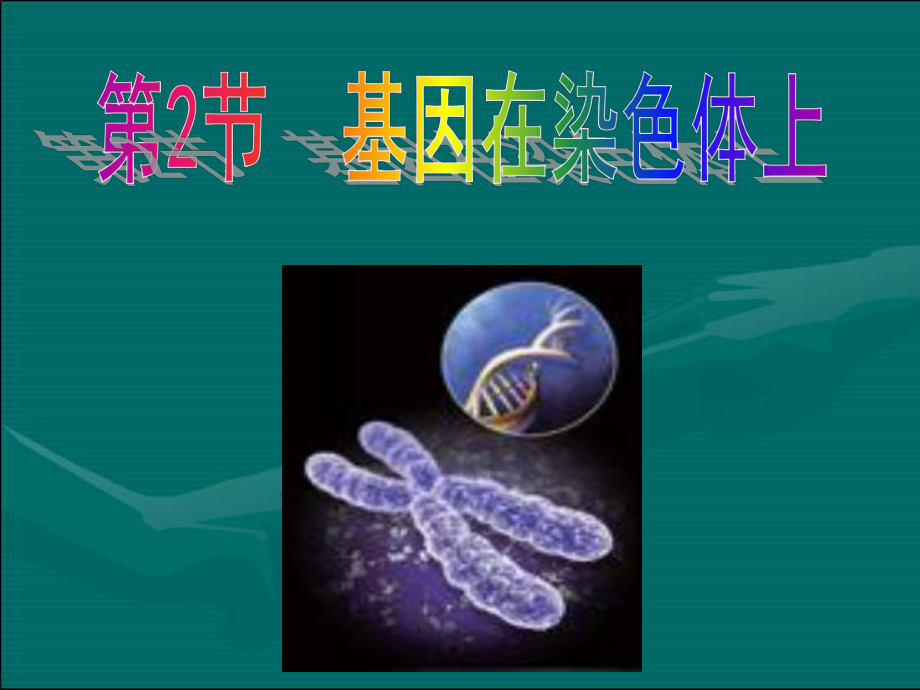 优质课一等奖课件(基因在染色体上).ppt_第1页