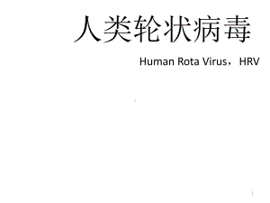 人类轮状病毒-课件.ppt