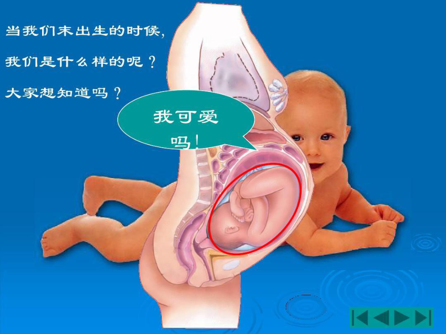 中晚期妊娠诊断共61张课件.ppt_第2页