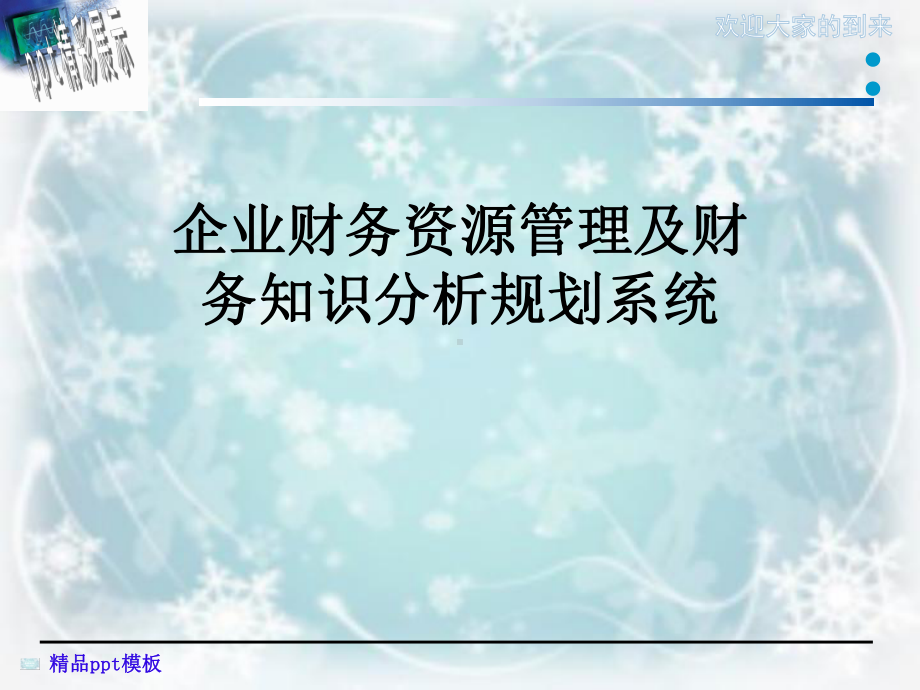 企业财务资源管理及财务知识分析规划系统课件.ppt_第1页