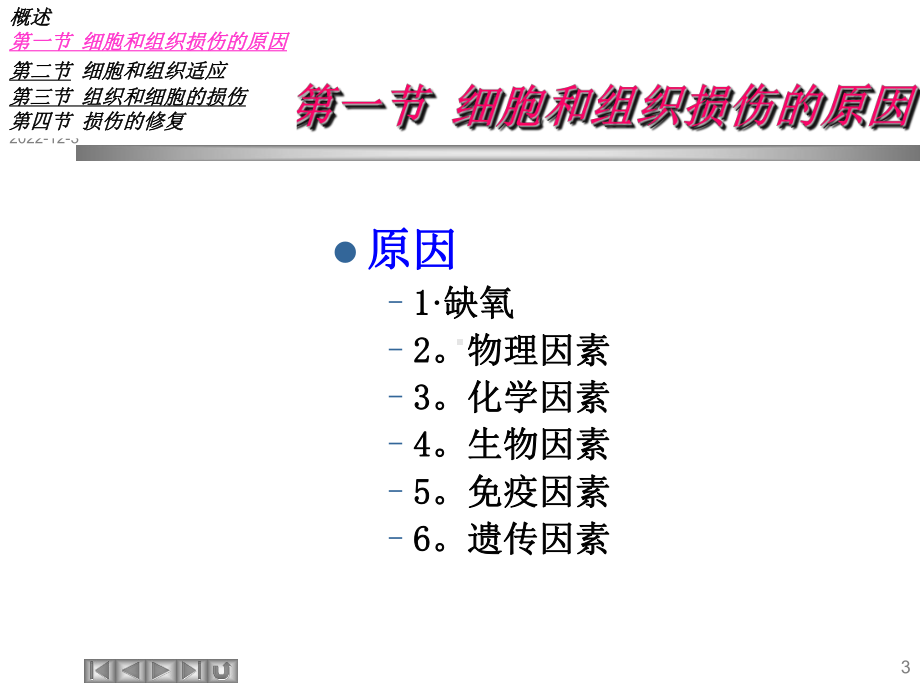 2章细胞和组织的损伤与修复课件.ppt_第3页