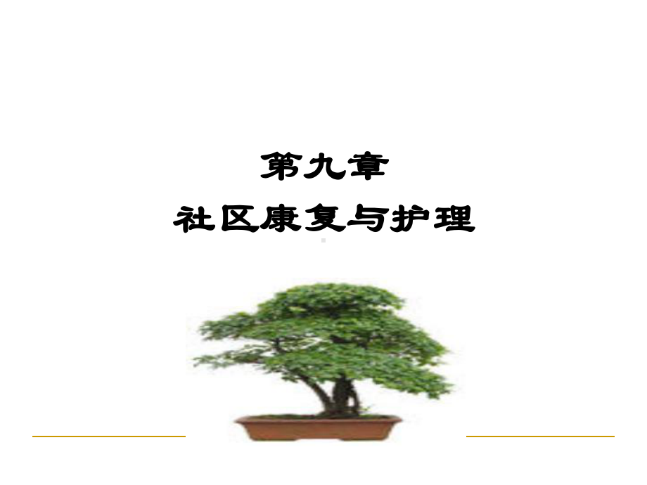 《社区护理学》课件共98页.ppt_第1页