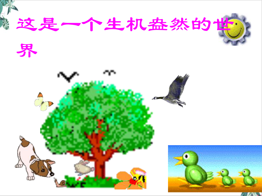 人教版初中生物生物圈课件.ppt_第3页