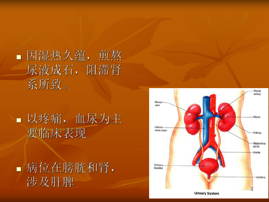 中医外科疾病护理常规课件.ppt_第2页