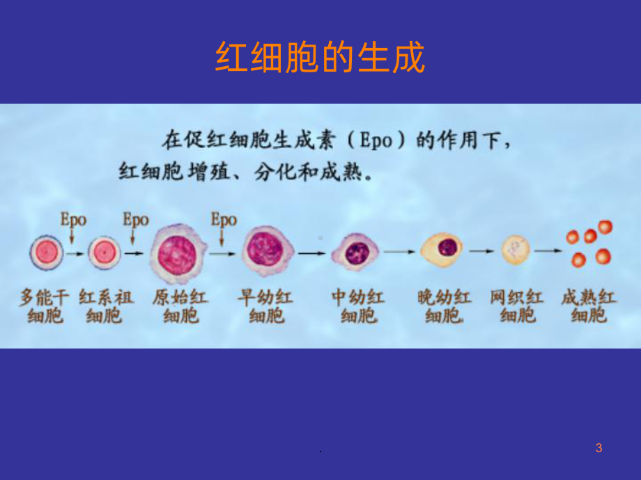 临床血液学检测一课件.ppt_第3页