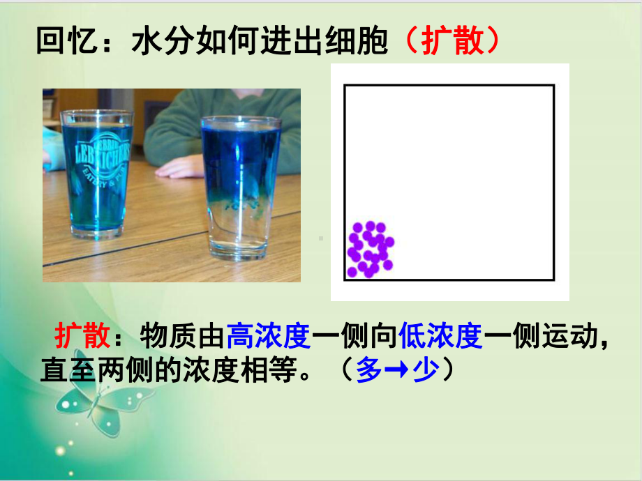 人教版《物质跨膜运输的方式-》课件15.ppt_第3页