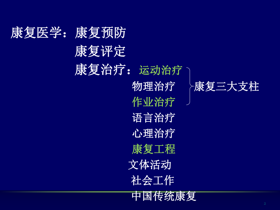 作业疗法评定学-康复医学作业疗法课件.ppt_第2页