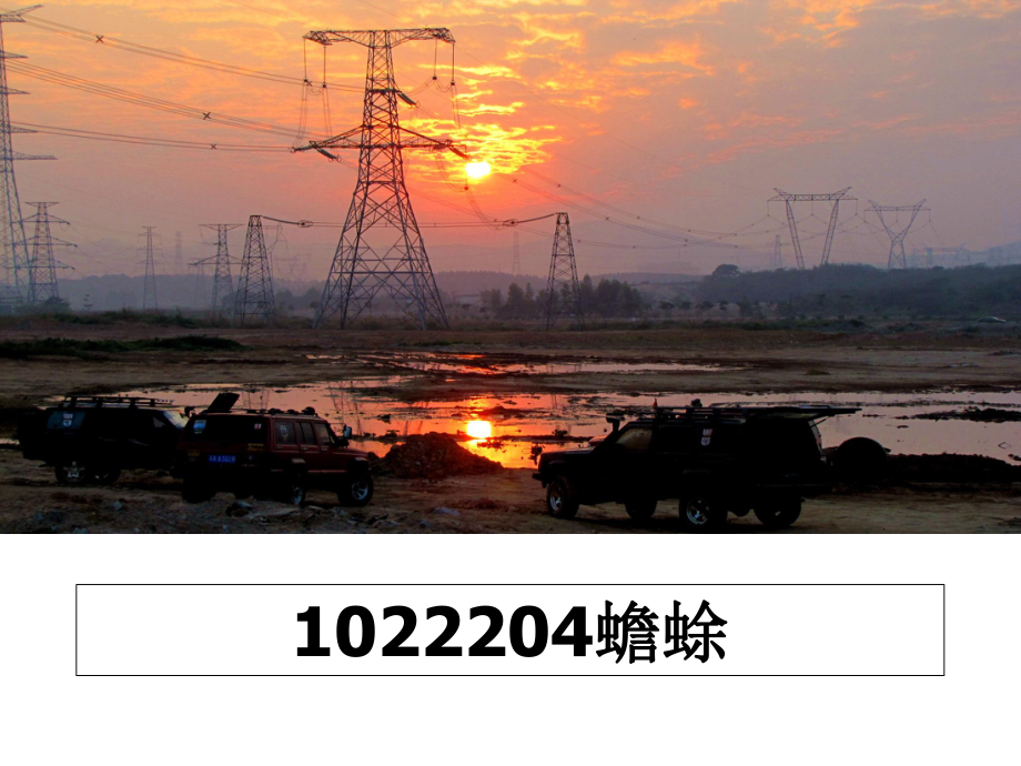 1022204蟾蜍课件.ppt_第1页